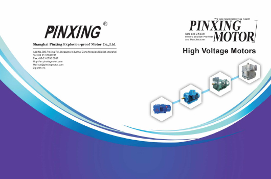 Shanghai Pinxing Explozion-Resouf Motor Co., Ltd.